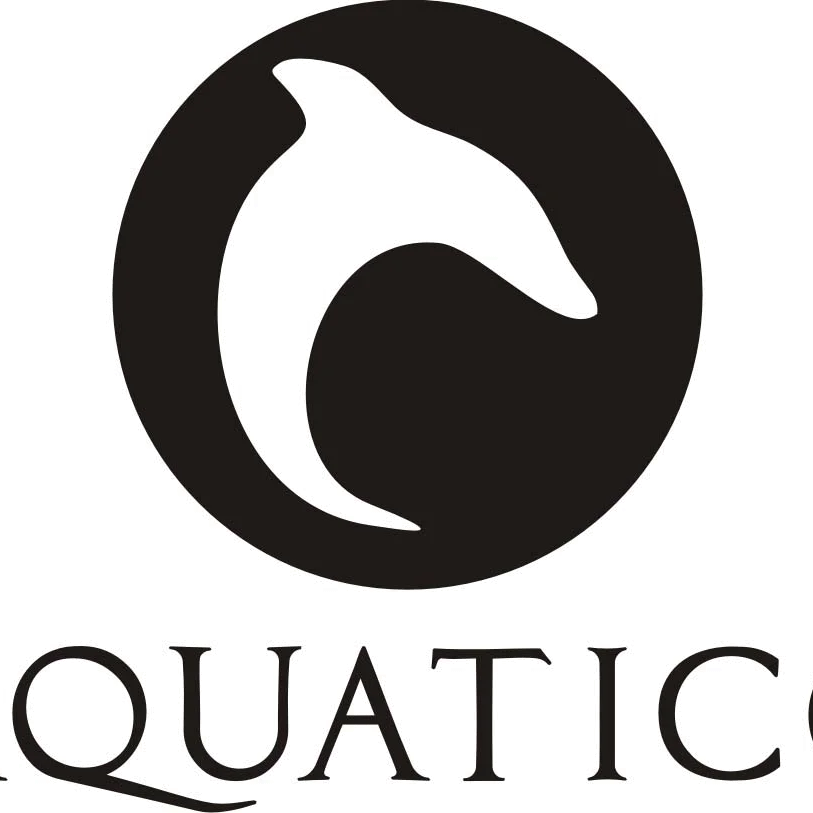 Picking the Perfect Watch: A Comprehensive Guide to Size, Shape, and Color