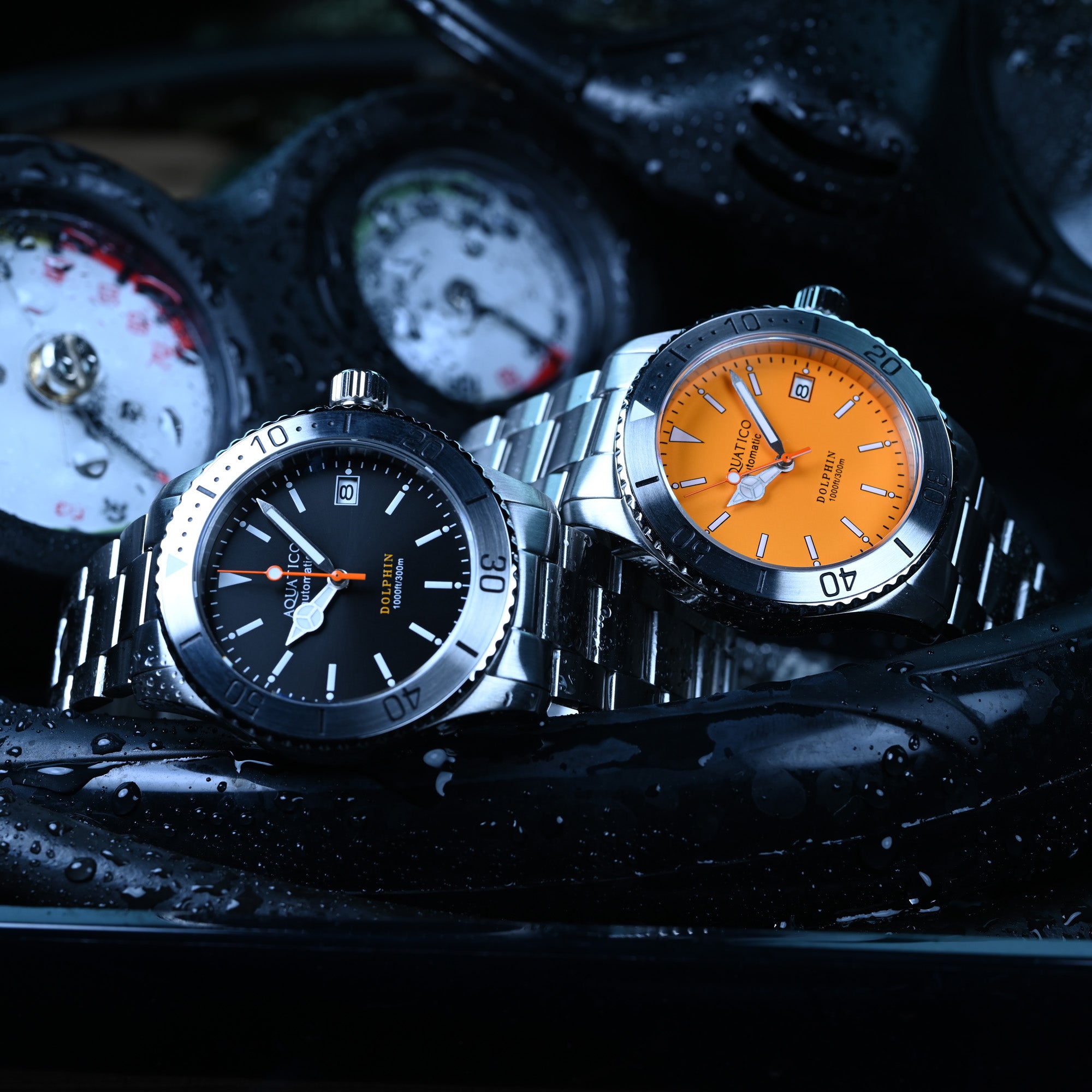 Aquatico Dolphin Orange Dial Watch – AQUATICO