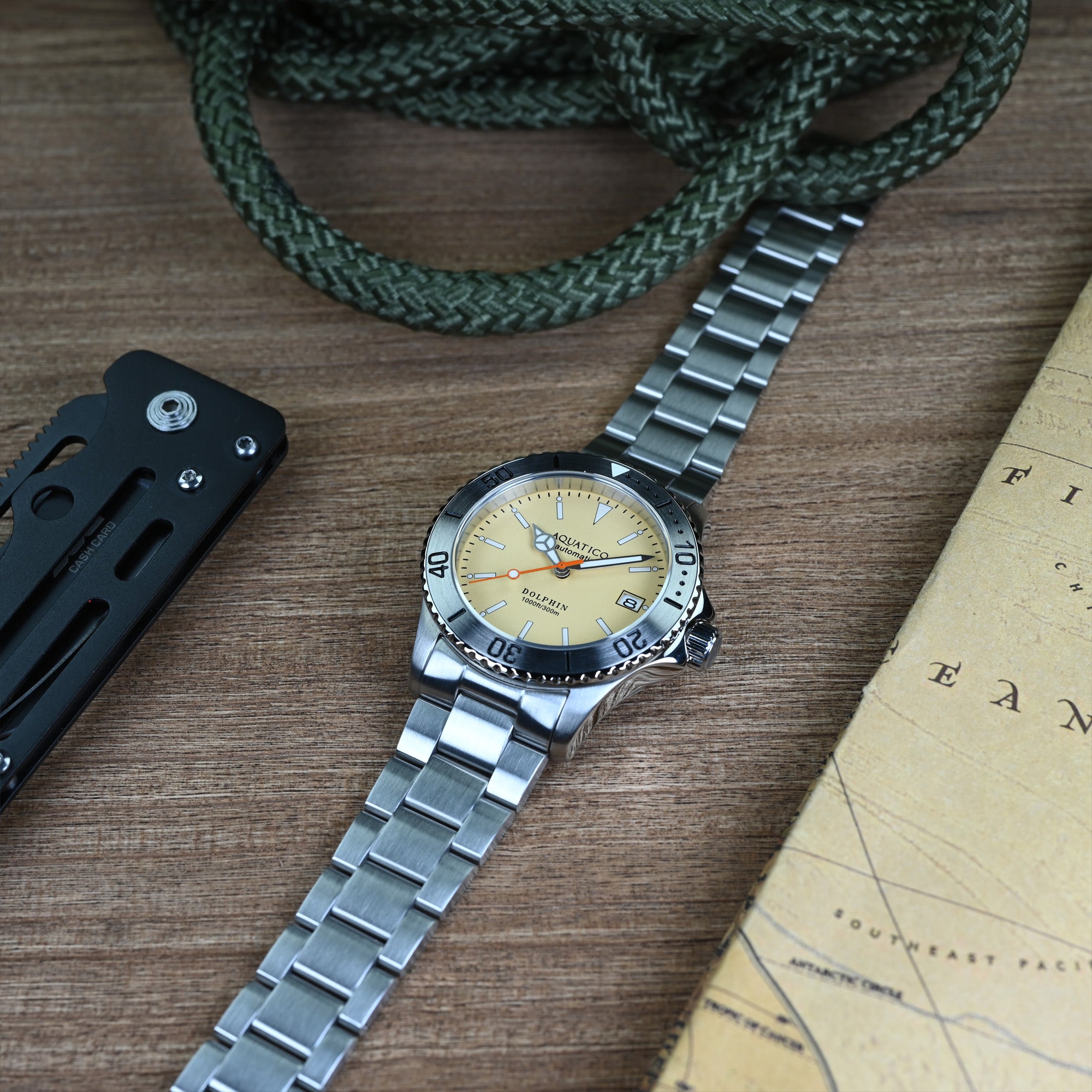 Aquatico Dolphin cream dial watch – AQUATICO