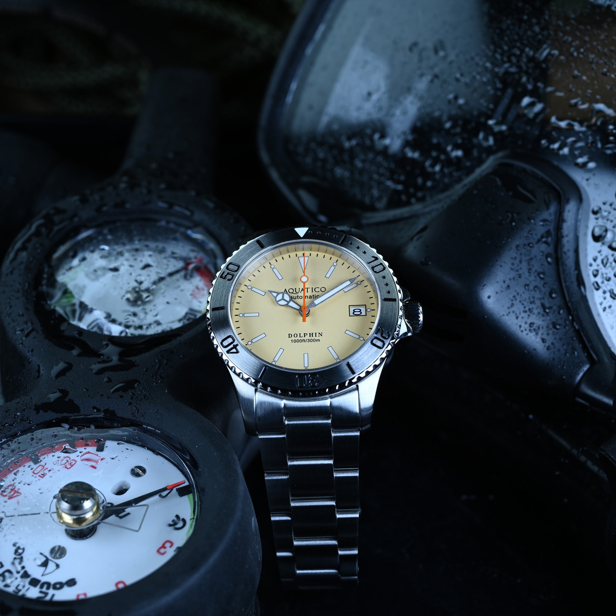 Aquatico Dolphin cream dial watch – AQUATICO